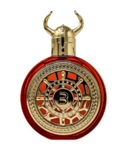 BHARARA VIKING RIO EDP